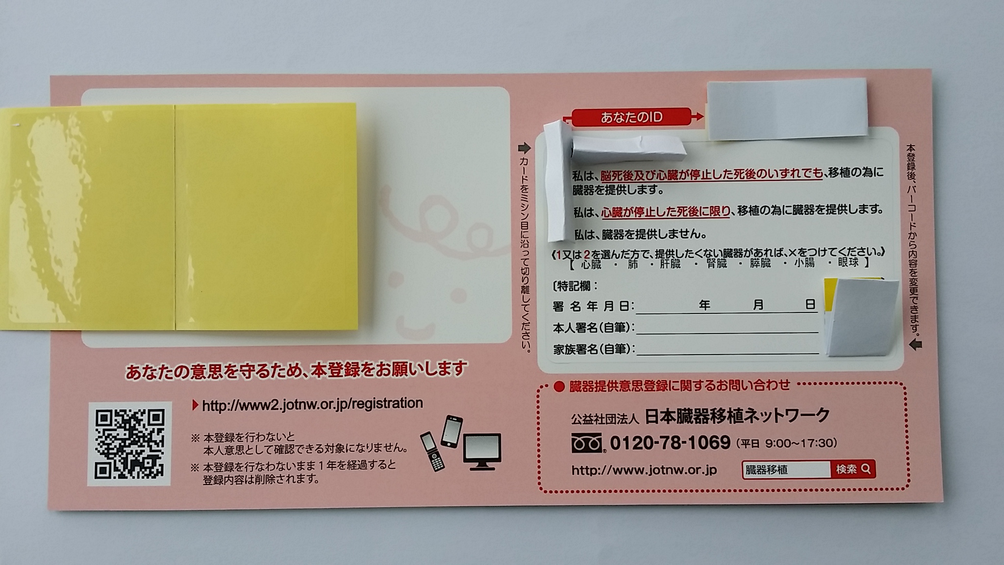 臓器提供意思登録カード-裏