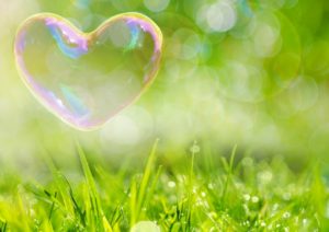 緑の草原にハートのシャボン玉